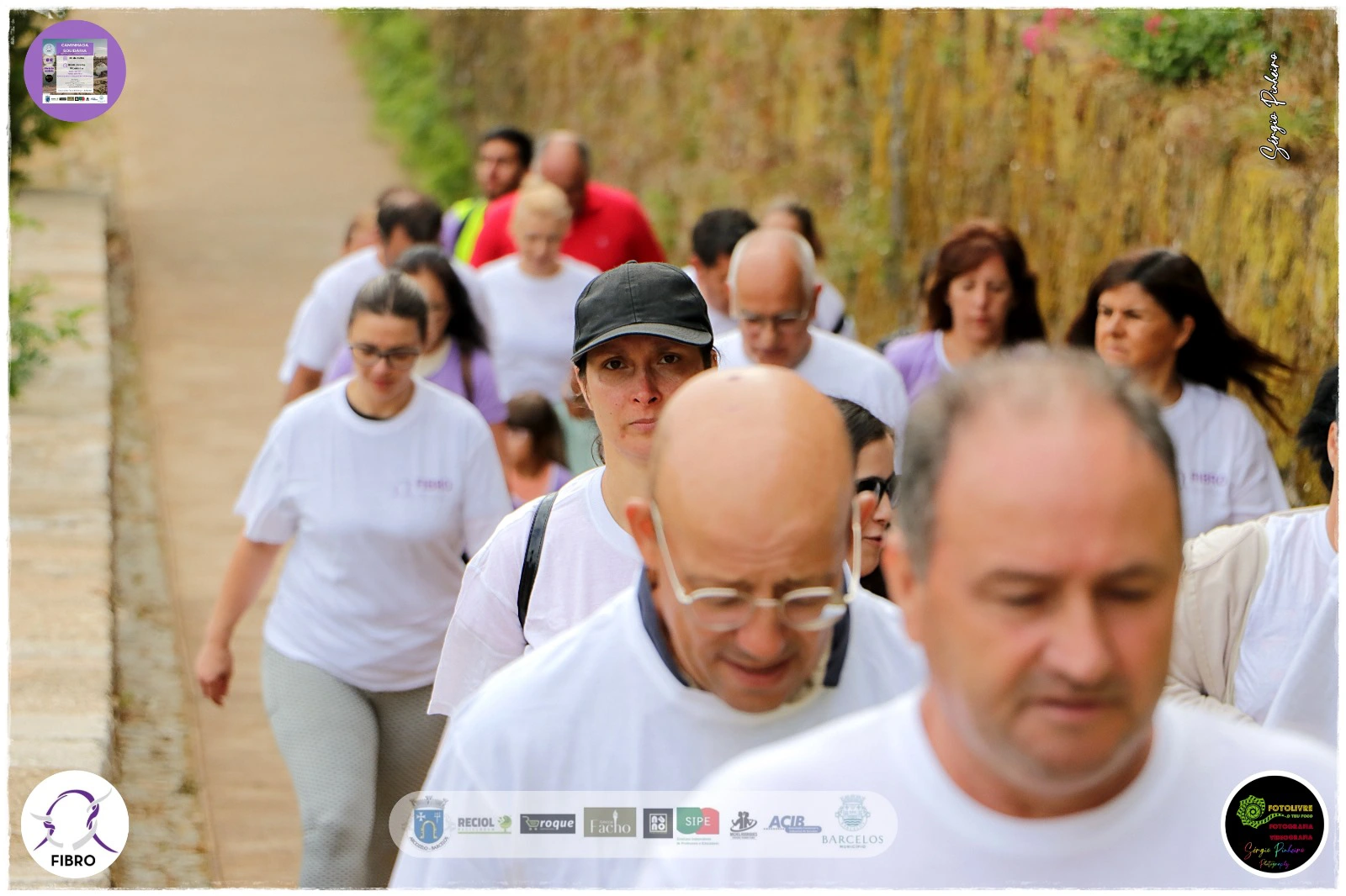 Ação da FIBRO
